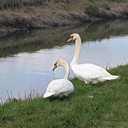 Delightful Cottage On The River Adur Close To Brighton & The Downs No Dogs Sorry Upper Beeding Екстериор снимка